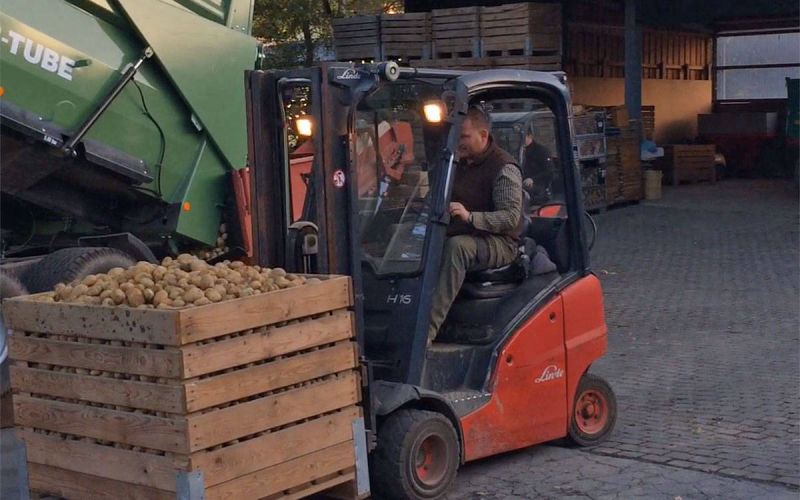 Kartoffelernte