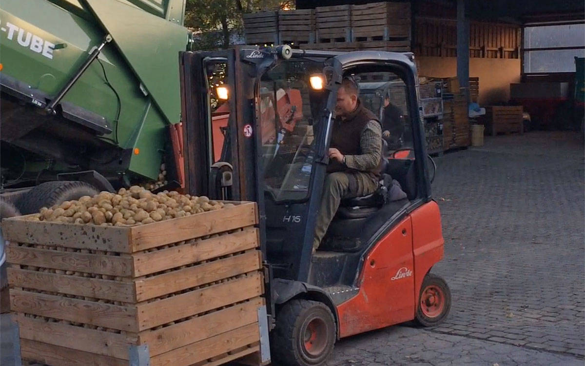 Kartoffelernte